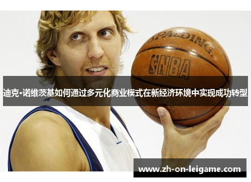 迪克·诺维茨基如何通过多元化商业模式在新经济环境中实现成功转型