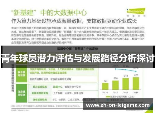 青年球员潜力评估与发展路径分析探讨